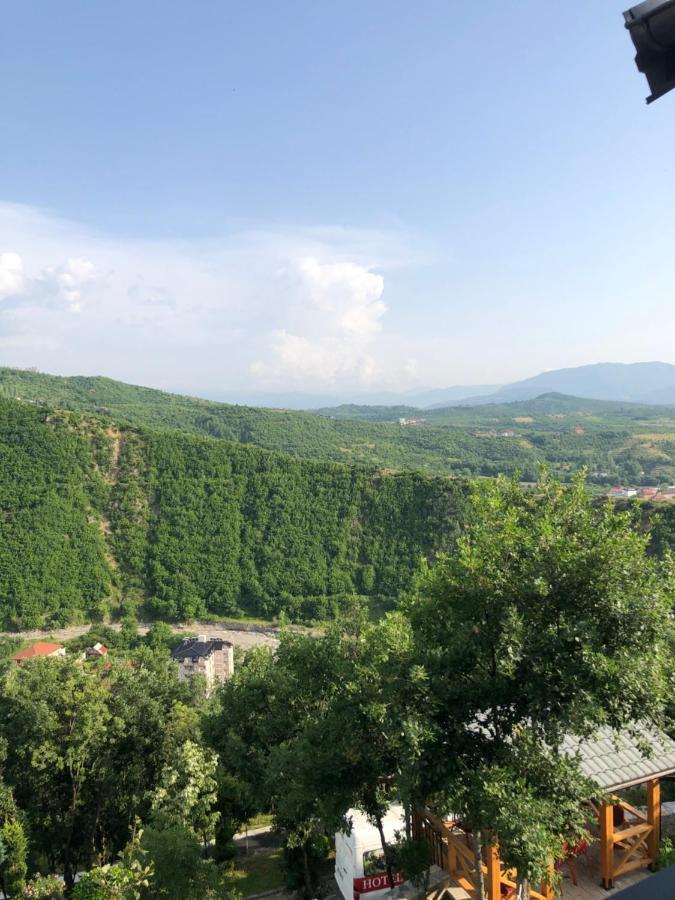 Hotel Bujtina Vrenezi Peshkopi Exterior foto