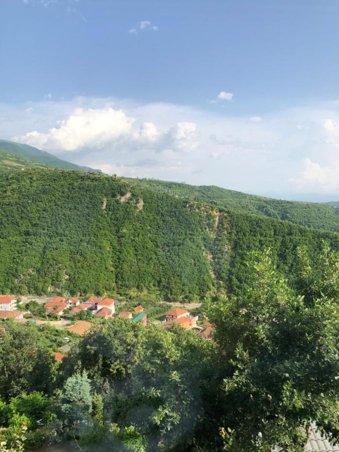 Hotel Bujtina Vrenezi Peshkopi Exterior foto
